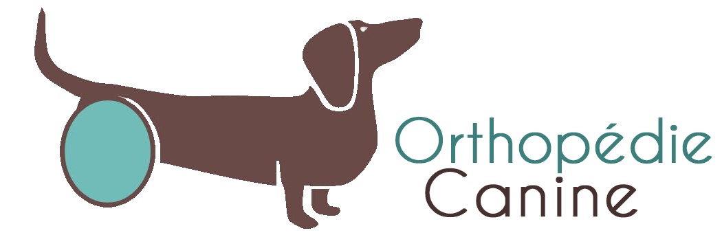 Orthopédie Canine