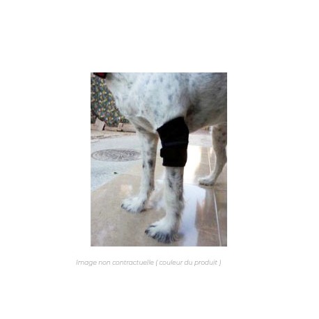 Orthèse/Protection De Patte Pour Chien Taille L (17x22 Cm) - Pour Arthrose, Blessure, Anti-Léchage