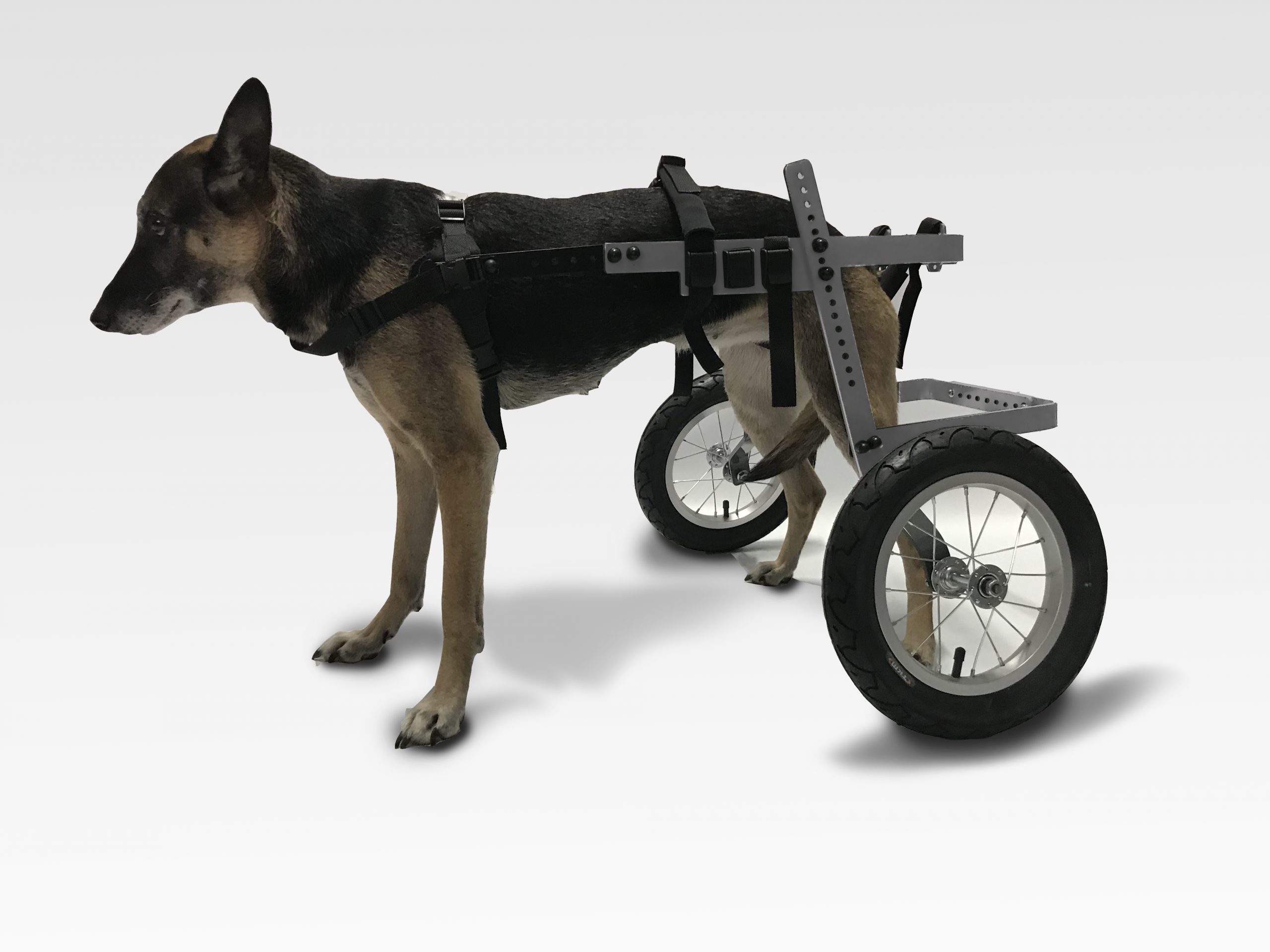 CHARIOT POUR CHIEN HANDICAPE DE 18 A 45 KG CHARIOT POUR CHIEN HANDICAPE DE 18 A 45 KG