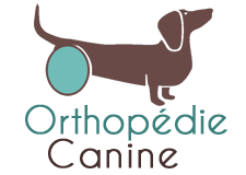 logo_orthopédie_canine _france_2020