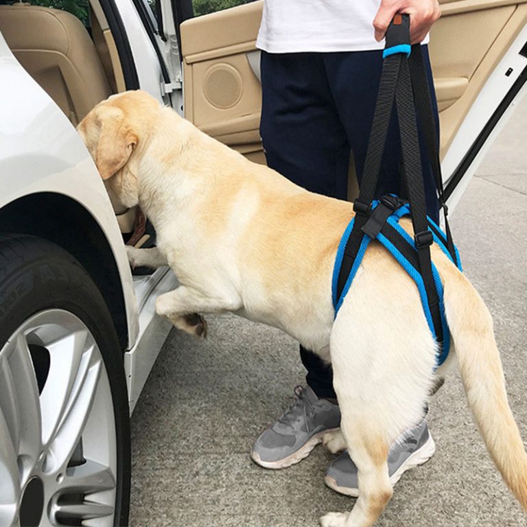 HARNAIS DE LEVAGE POUR CHIEN - PATTES ARRIÈRE - 100% AJUSTABLE