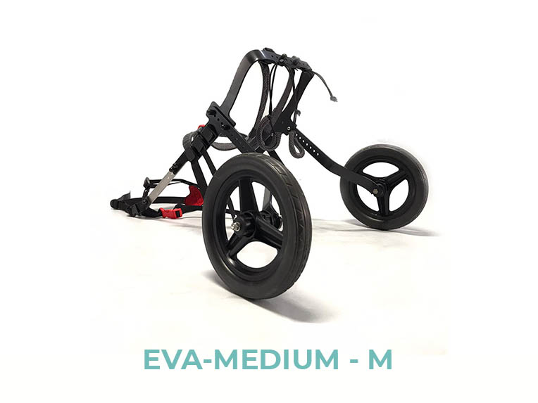 EVA-MEDIUM-M - 1