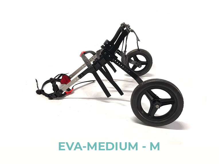EVA-MEDIUM-M - 2