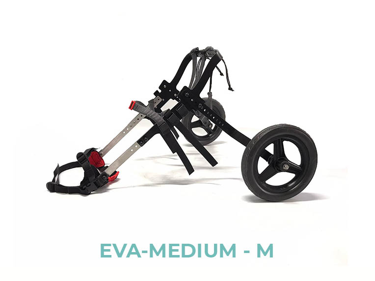 EVA-MEDIUM-M - 3