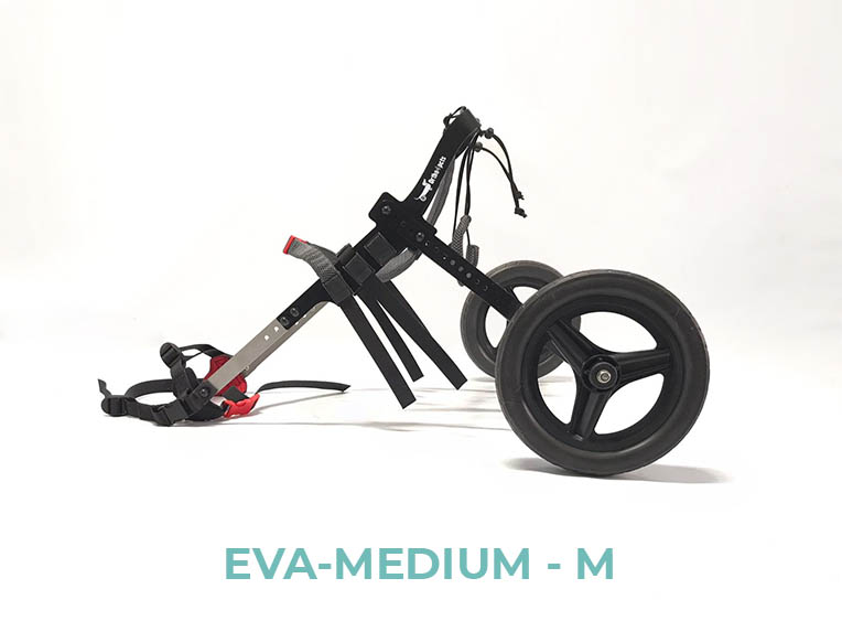 EVA-MEDIUM-M - 4