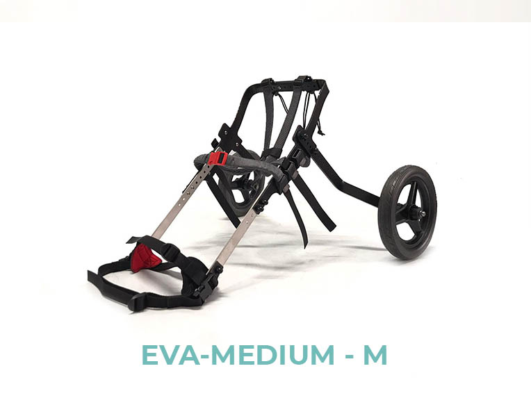 EVA-MEDIUM-M - 5